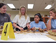 Students working on a project. Links to Beneficiary Designations Students working on a project. Links to Beneficiary Designations